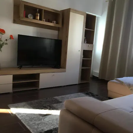 Central Home Apartment Piatra Neamt